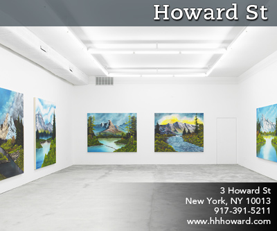 Howard St gallery