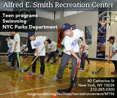 Alfred E. Smith Recreation Center